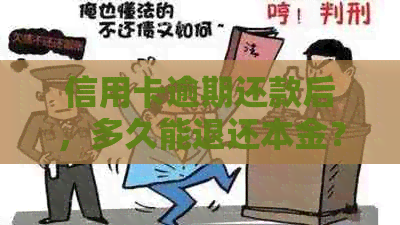 信用卡逾期还款后，多久能退还本金？还错信用卡钱的相关问题解答