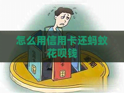 怎么用信用卡还蚂蚁花呗钱