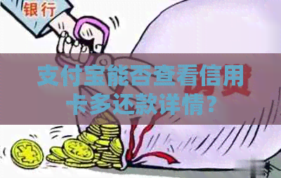 支付宝能否查看信用卡多还款详情？