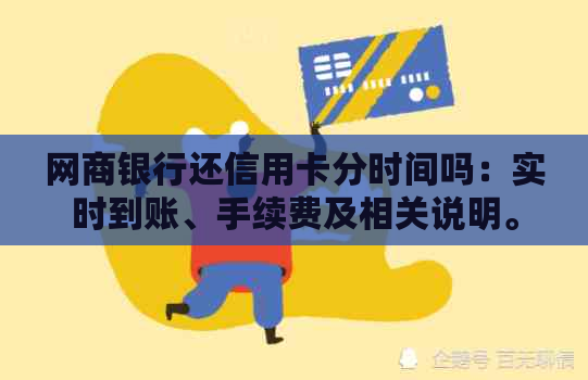 网商银行还信用卡分时间吗：实时到账、手续费及相关说明。