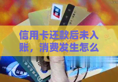 信用卡还款后未入账，消费发生怎么办？解决用户信用卡还款相关问题