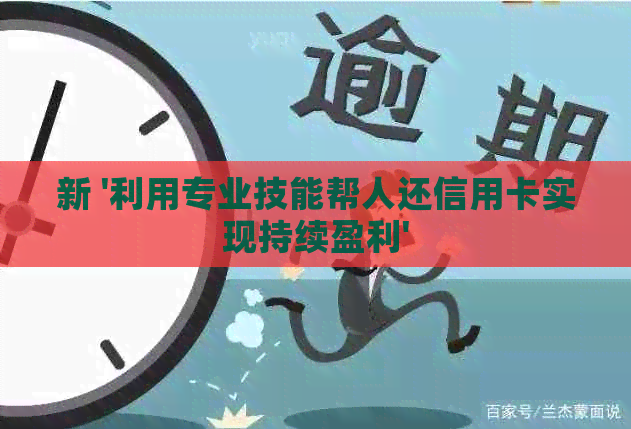 新 '利用专业技能帮人还信用卡实现持续盈利'