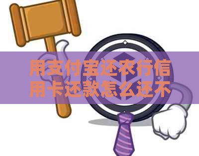 用支付宝还农行信用卡还款怎么还不了？