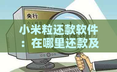 小米粒还款软件：在哪里还款及如何使用