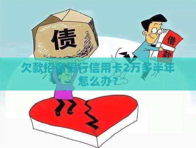 欠款招商银行信用卡2万多半年怎么办？