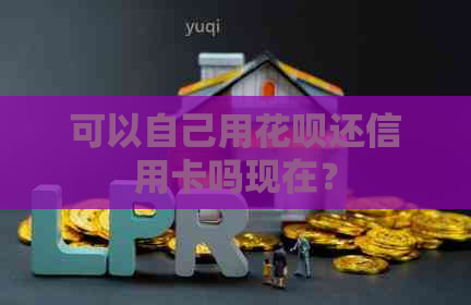 可以自己用花呗还信用卡吗现在？