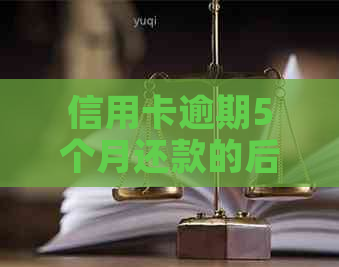 信用卡逾期5个月还款的后果与解决办法：如何应对欠款问题？