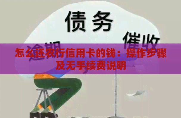 怎么还农行信用卡的钱：操作步骤及无手续费说明