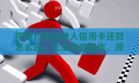 用支付宝还他人信用卡还款怎么还：无法完成操作，原因不明。