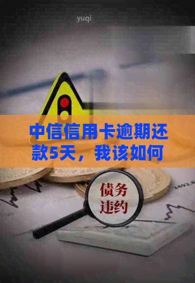 中信信用卡逾期还款5天，我该如何处理？逾期后果与解决办法一览