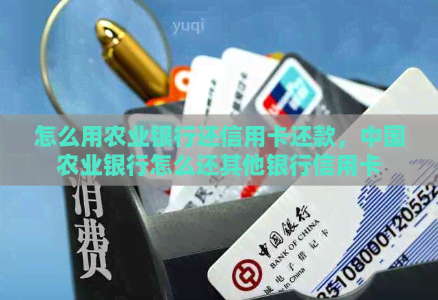 怎么用农业银行还信用卡还款，中国农业银行怎么还其他银行信用卡