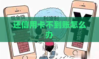 还信用卡不到账怎么办