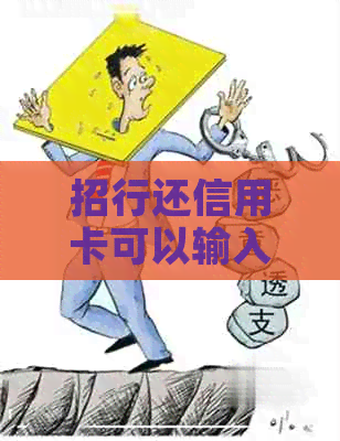 招行还信用卡可以输入金额吗