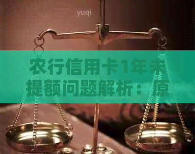 农行信用卡1年未提额问题解析：原因、解决办法及个人信用管理建议