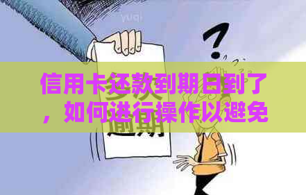 信用卡还款到期日到了，如何进行操作以避免逾期费用？