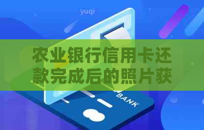 农业银行信用卡还款完成后的照片获取方法及注意事项