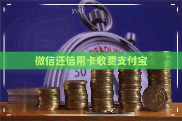 微信还信用卡收费支付宝