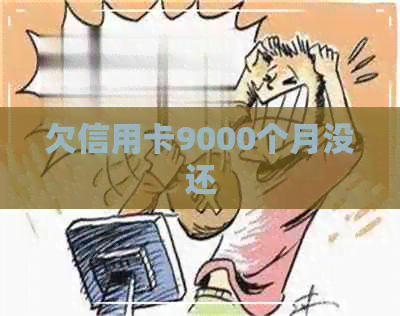 欠信用卡9000个月没还