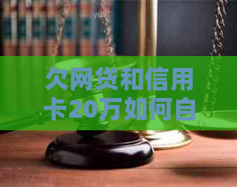 欠网贷和信用卡20万如何自救，求解决方案！