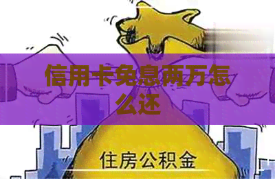 信用卡免息两万怎么还