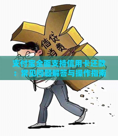 支付宝全面支持信用卡还款：常见问题解答与操作指南