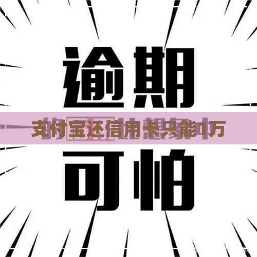 支付宝还信用卡只能1万