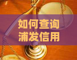 如何查询浦发信用卡账单日及还款日，包括账单明细和还款日期？