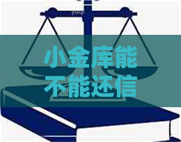 小金库能不能还信用卡