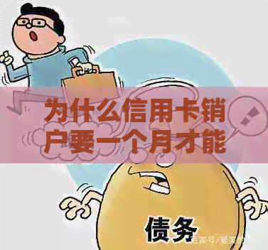 为什么信用卡销户要一个月才能办理？