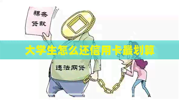 大学生怎么还信用卡最划算