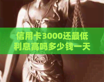 信用卡3000还更低利息高吗多少钱一天，一个月？