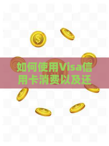 如何使用Visa信用卡消费以及还款，人民币是否适用？