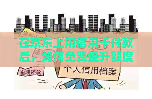 在京东上用信用卡付款后，如何免费提升额度并进行还款？