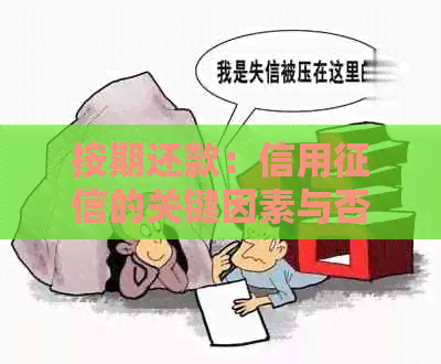 按期还款：信用的关键因素与否的影响探讨