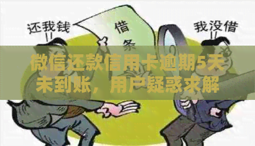 微信还款信用卡逾期5天未到账，用户疑惑求解