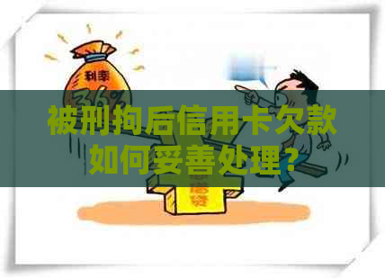 被刑拘后信用卡欠款如何妥善处理？