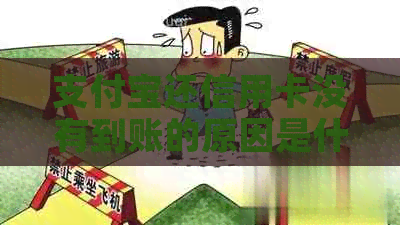 支付宝还信用卡没有到账的原因是什么？如何解决？