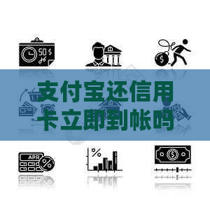 支付宝还信用卡立即到帐吗是真的吗-支付宝还信用卡立即到帐吗是真的吗安全吗