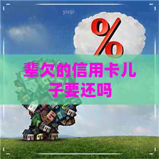 辈欠的信用卡儿子要还吗