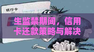 生监禁期间，信用卡还款策略与解决方案有哪些？