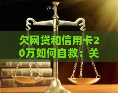 欠网贷和信用卡20万如何自救：关键步骤与策略