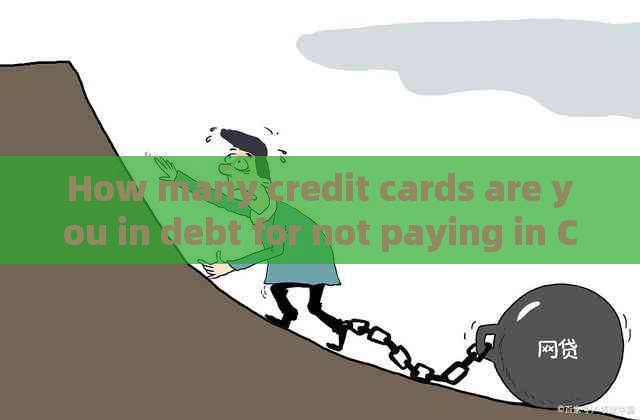 How many credit cards are you in debt for not paying in Chinese?