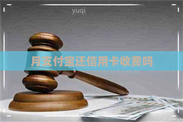 月支付宝还信用卡收费吗