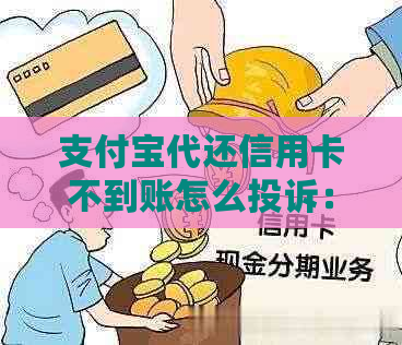 支付宝代还信用卡不到账怎么投诉：完整指南及收费标准