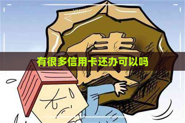 有很多信用卡还办可以吗