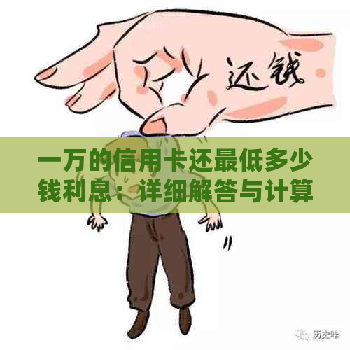 一万的信用卡还更低多少钱利息：详细解答与计算方法