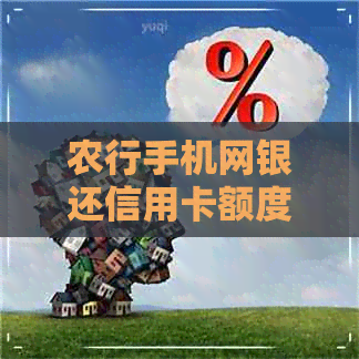 农行手机网银还信用卡额度