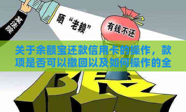 关于余额宝还款信用卡的操作，款项是否可以撤回以及如何操作的全面解析