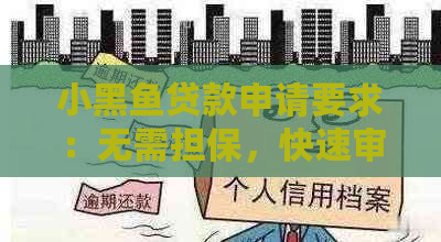 小黑鱼贷款申请要求：无需担保，快速审批，适合各种借款需求