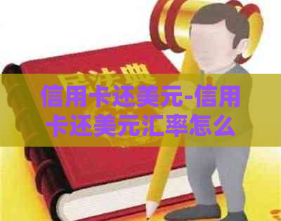 信用卡还美元-信用卡还美元汇率怎么算